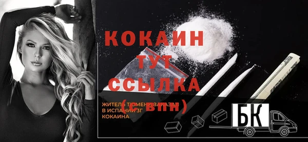 шишки Новокубанск